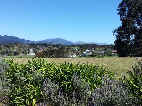 16 Pine Ridge Terrace, Waikanae Beach