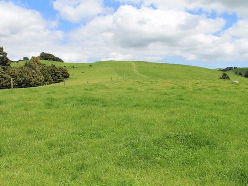 172 Wainui Road, Arapohue