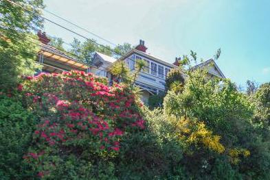 172 Dundas Street, North Dunedin