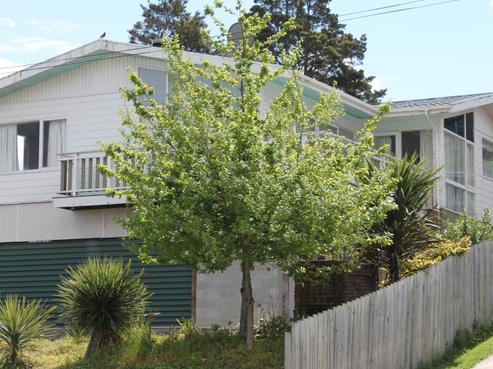 77 Arapuni Street, Putaruru