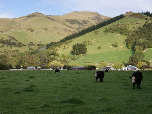 4226 Christchurch Akaroa Road, Little River