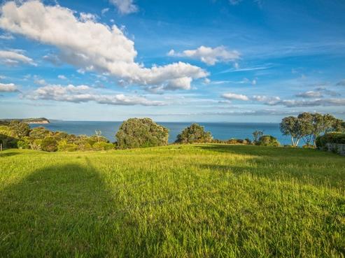 320 Pinecrest Drive, Gulf Harbour