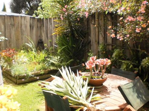 2/13 May Street, Hamilton East