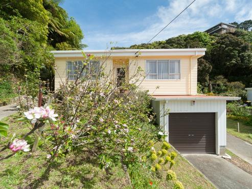 38 Mccoll Street, Vogeltown