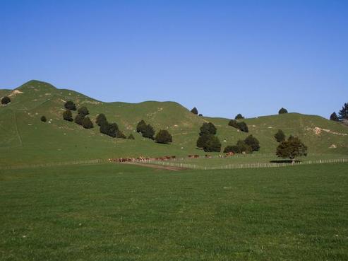 293 Burnand Road, Manunui