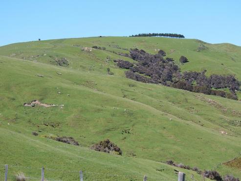 3928 Porangahau Road, Porangahau