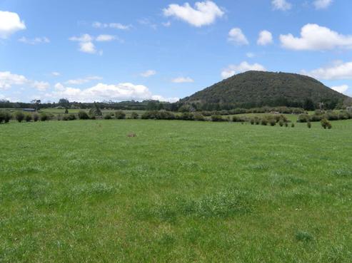 1520 State Highway 14, Maungatapere