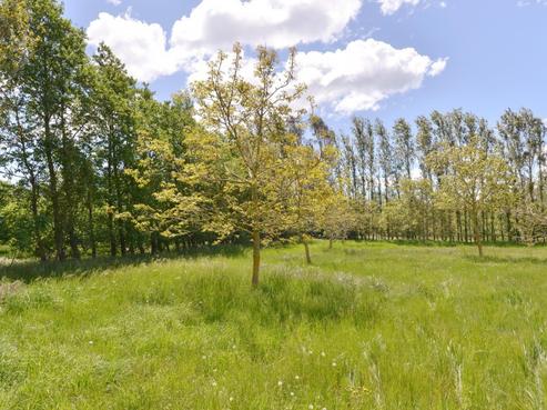 422 North Eyre Road, Swannanoa