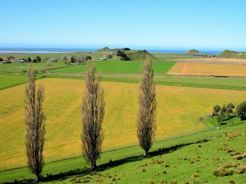 980 State Highway 2, Wairoa