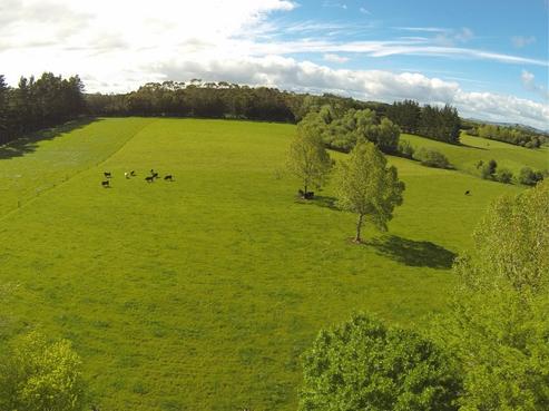 1372 Pipiwai Road, Ruatangata