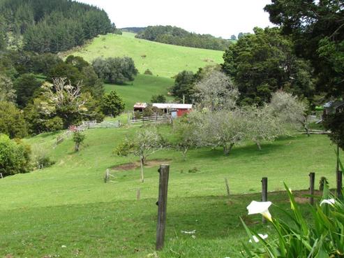 378 Mcintyre Road, Kawakawa