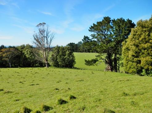 46C Burnetts Road, Upper Plain