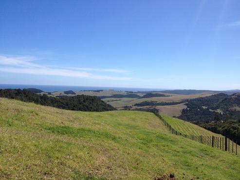4557 State Highway 12, Dargaville Surrounds