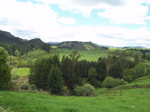 280 State Highway 30, Benneydale
