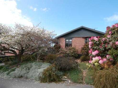 33 Newman Street, Waimataitai