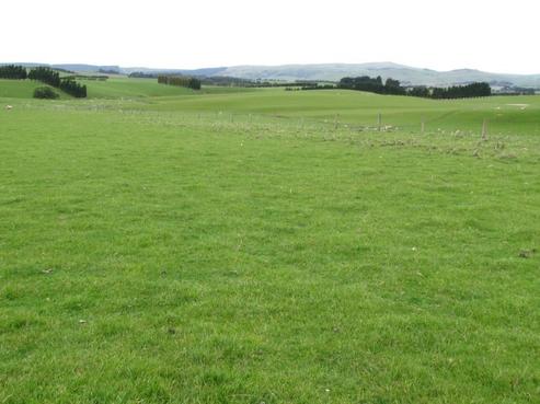 1845 Old Coach Road, Gore Surrounds
