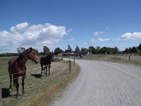 495 Drain Road, Doyleston