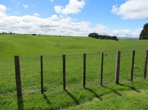 377 Makara Road, Halcombe
