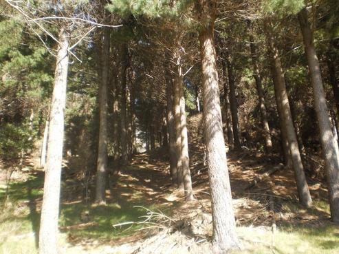 1795 White Rock Road, Tuturumuri