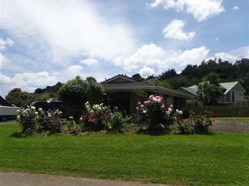 42 Carlton Road, Pukekohe