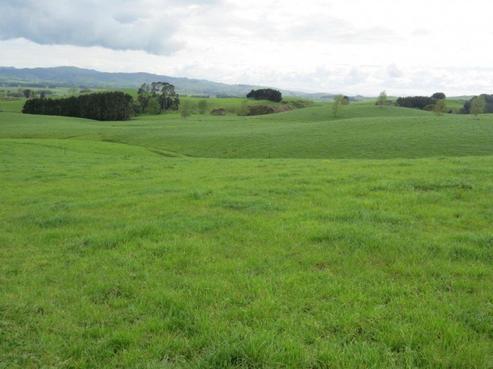 510 Tainui Road, Tahuna