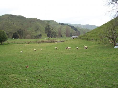 112 Opatu Road, Taumarunui