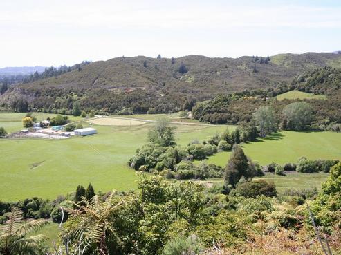 1286 Collingwood-bainham Main Road, Collingwood