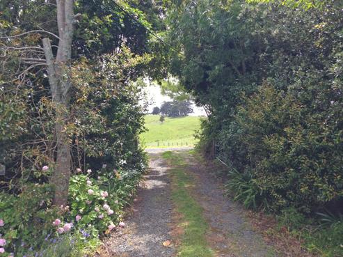 249 Run Road, Wharehine