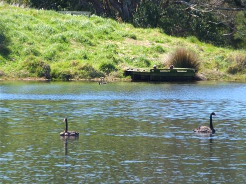 33 Robert Hastie Drive, Mangawhai