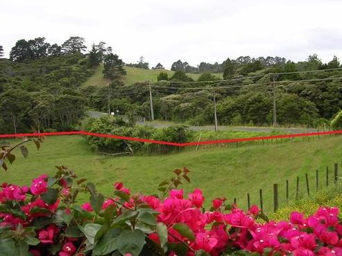 375 Henderson Valley Road, Henderson Valley