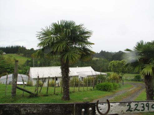 2239C State Highway 12, Paparoa