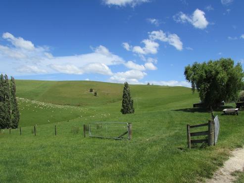 83 Ugly Hill Road, Central Hawkes Bay Country