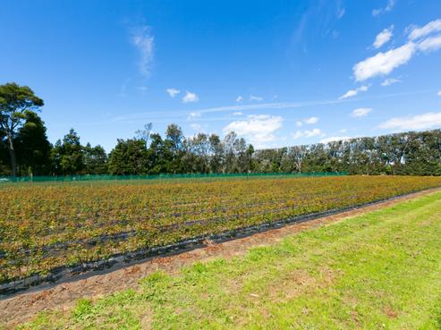 91 Waitara Road, Waitara