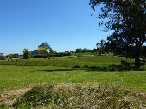 13 Poplar Grove, Feilding