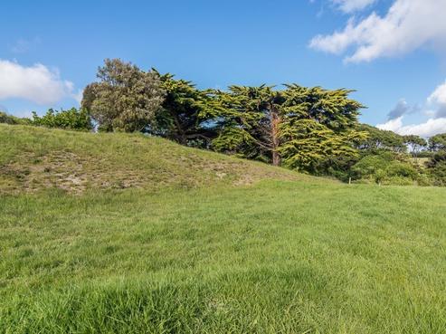 158 Ngarara Road, Waikanae