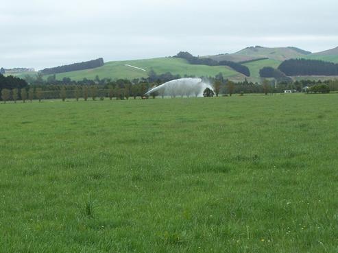 110 Papakaio Road, North Otago