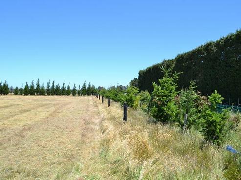 2191 South Eyre Road, West Eyreton
