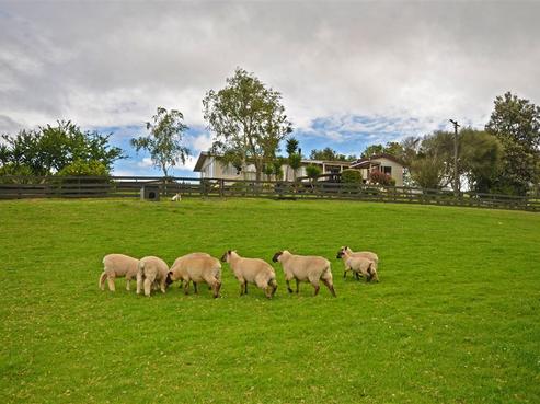 43 Restall Road, Waimauku