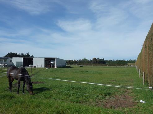 32 Sheehans Road, Rakaia