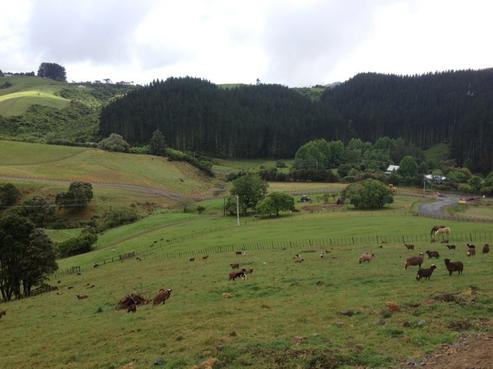 183 Skyhigh Road, Hunua