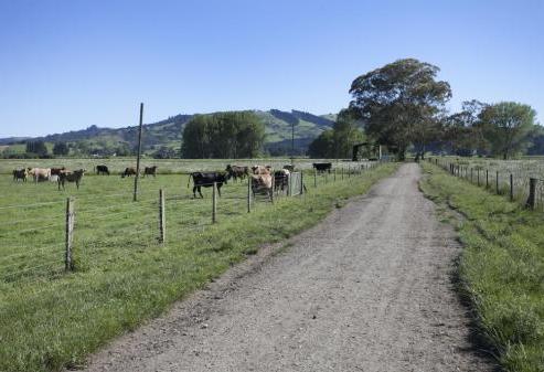 373 Tirau Road, Cambridge