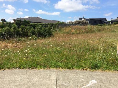 102 Isabella Drive, Pukekohe