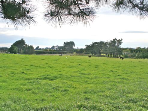 531 Stirrat Street, Tisbury
