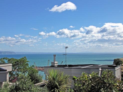 3/126 Thompson Road, Napier Hill