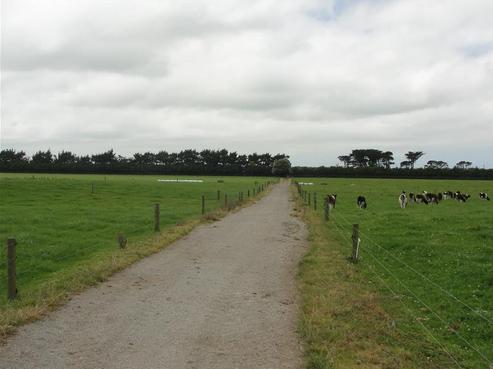 437 Patiki Road, Opunake