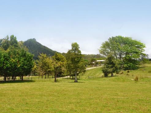 19 Davie Martin Road, Kaipara Flats