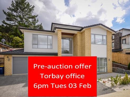 38 Silver Moon Road, Albany Heights