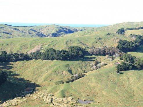 634 Cooks Tooth Road, Porangahau