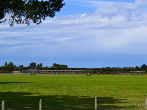 99 Skinner Road, North Otago