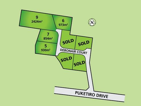 9 Debonair Court, Feilding